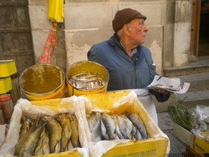 street-fish-food-palermo