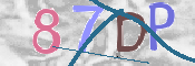 Kontrolní text
