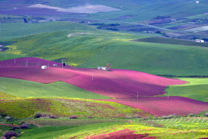 sicily is not only about the beach vacation